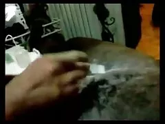 Stella coque no arco-íris na bunda