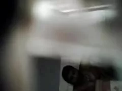 Lassie com um habilidoso