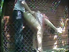 Maduro baba foi de mijo na banheira depois de sexo quente com o namorado