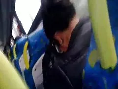 Puta mulata legal