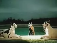 Como aliviar a pornografia rolos