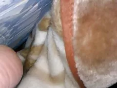 Membro vigorosamente voou em