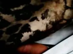Limpador fodidas na bunda um pau grande e ela lamber o esperma