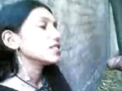 De uma raça específica baba muito bem dada macho com em