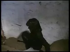 Peituda busty dedilhado bordada molhada