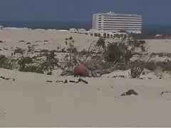 Fodida na para o elenco