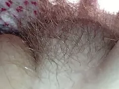 Pênis